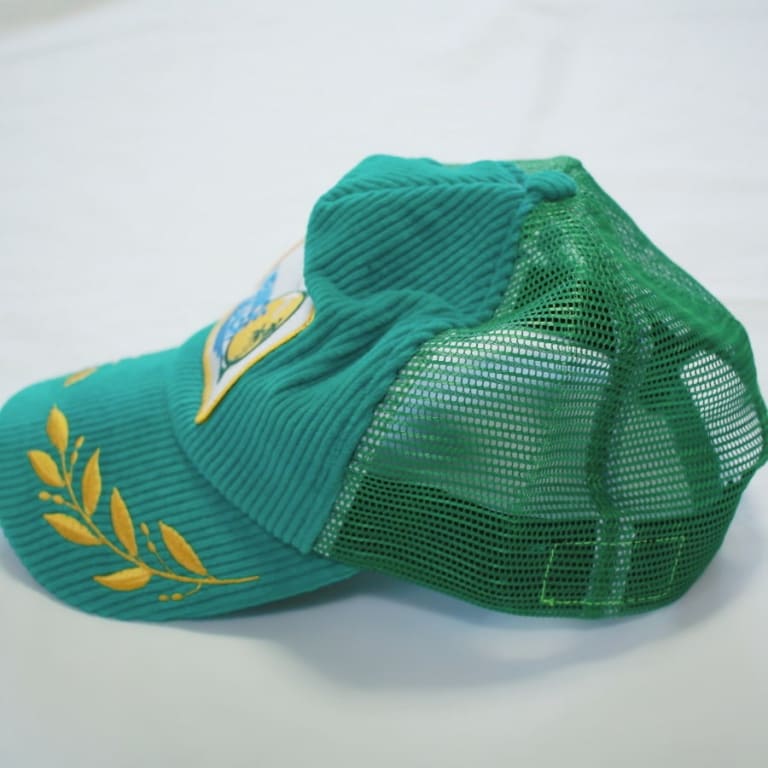 aviator nation-corduroycap-green