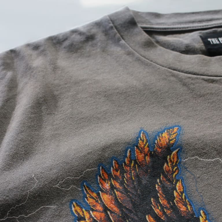 tpvs-eagle storm-vintage-tee