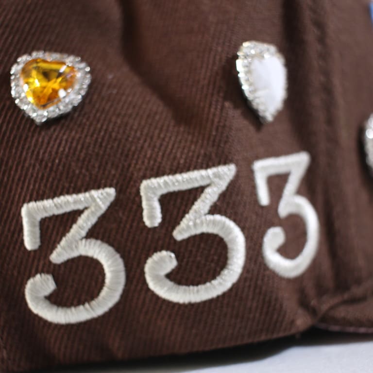 toxicity-cap 333 brown